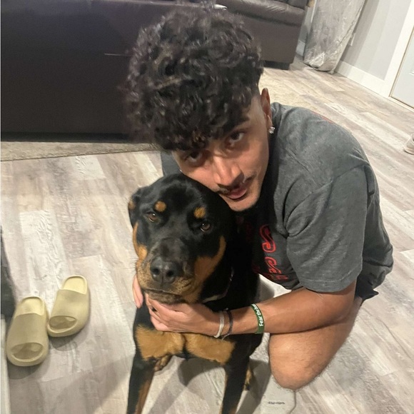 Meet your Posher, Luke - Picture 1 of 1